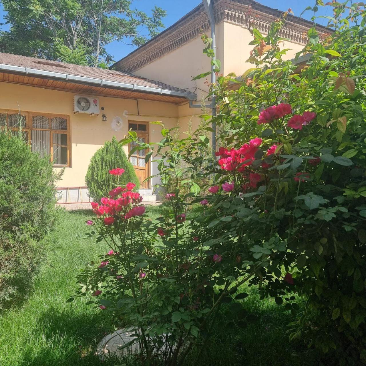 Hostel&Guest House Yousef Steel Samarkand Buitenkant foto