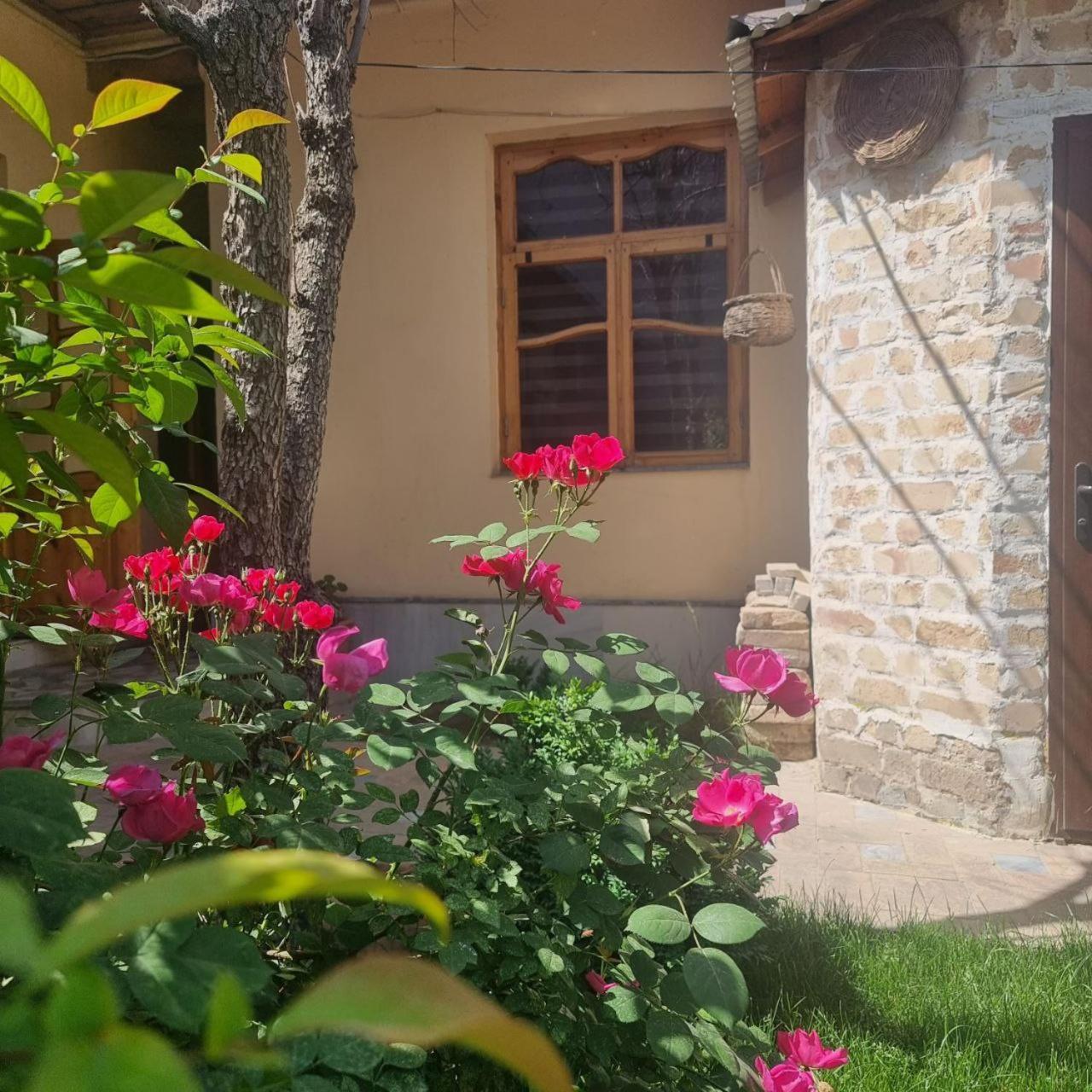 Hostel&Guest House Yousef Steel Samarkand Buitenkant foto