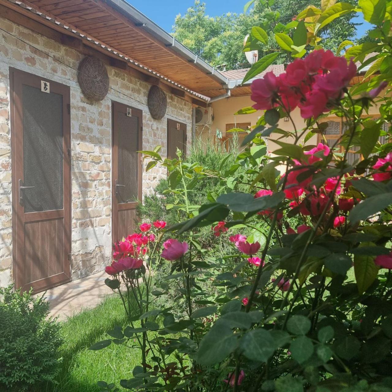 Hostel&Guest House Yousef Steel Samarkand Buitenkant foto